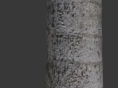 Realistic 3D Scanned Palm Tree Trunks Low-poly 3D model