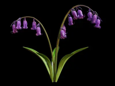 Blue Bell flower 3D model