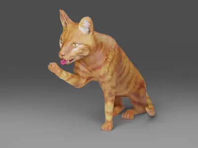 Cat Yellow V3 Rigged and Animated Low-poly 3D model