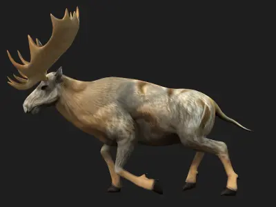 Moose-B1 3D model