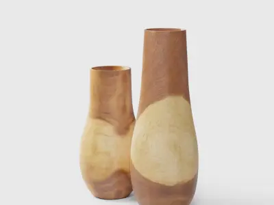 Pure Wood Floor Vases 2 Vase 3D model