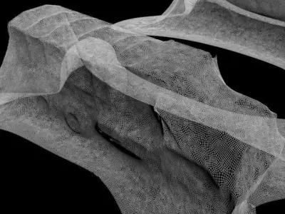 Covered cars 3D model