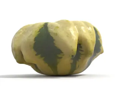 Decorative Gourd Pumpkin Squash Flower 3D Scan 3D model
