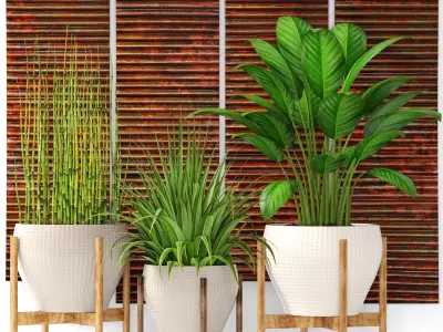 Plants collection pot 3D model