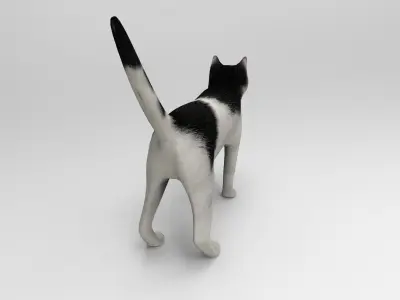 White Black Cat model 3D  Low-poly 3D model
