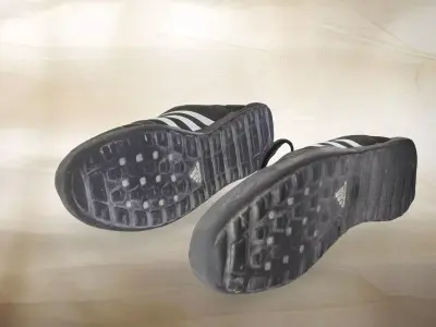 A pair of used Adidas Terrex 007 Low-poly 3D model