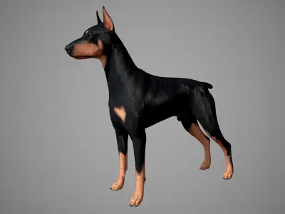 Doberman Real-Time Low-poly 3D model