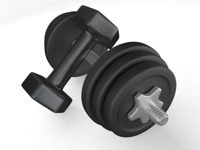Dumbbells 3D model