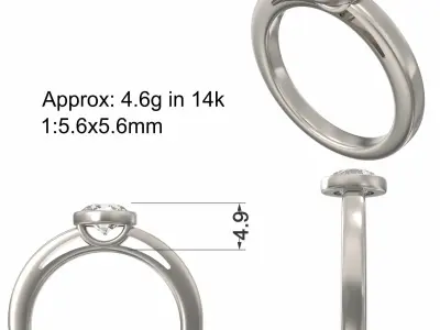 bezel ring 92  3D print model