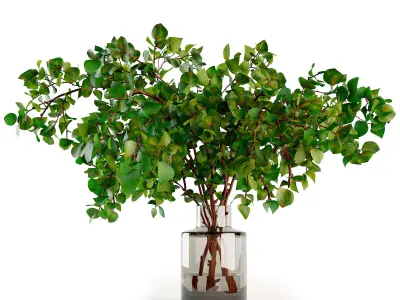 Branches in a vase 020 3D model