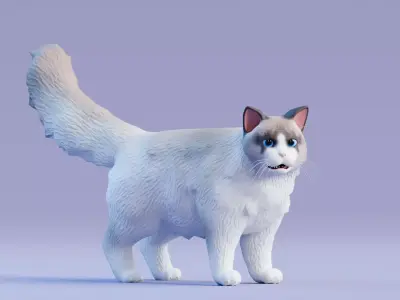 Low poly - Stylized cats - Ragdoll Cat Low-poly 3D model