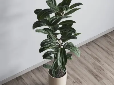Ficus rubbery plant in wooden vase - Indoor plant 340 Low-poly 3D model