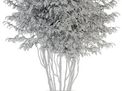 Plants collection 91 3D model