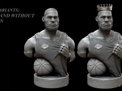 Lebron James Bust for 3D printing 3D print model