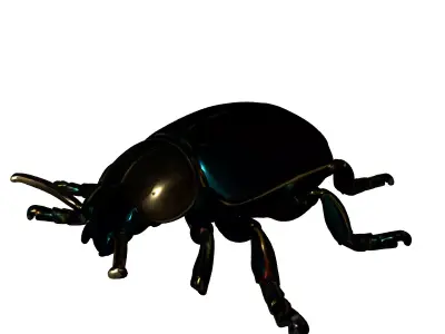 Luxury Golden Metallic Beetle Model Low-poly 3D model