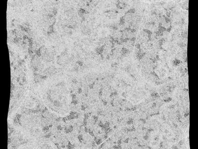 381-RockPanel sandstone 3D model