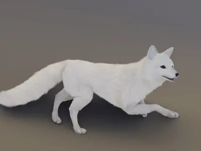 Arctic Fox  3D model