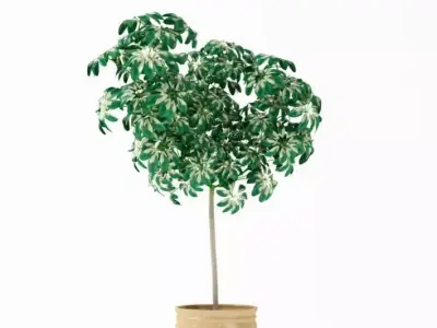 Tall Potted Plant 3D model