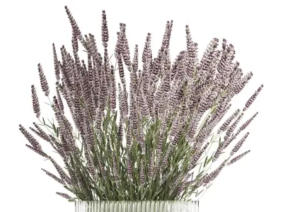 Bouquet Of Wild Flowers  With Lavender Sage 513 3D model