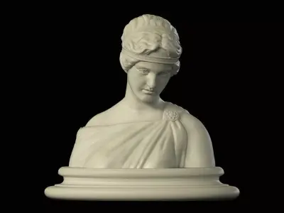 Bust of a Woman printable 3D print model