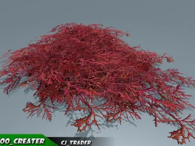 Under Water Plant Collection Pack Low Poly 3D Model Low-poly 3D model