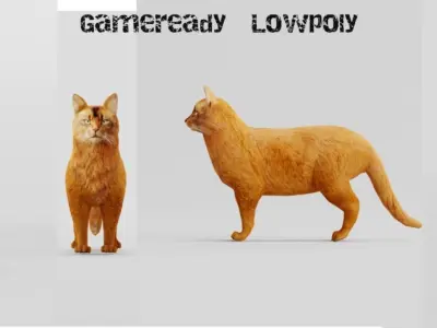 Somali Cat Animal Low-poly 3D model