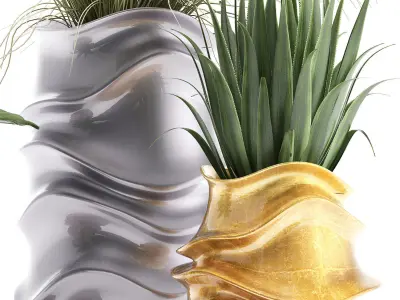 Collection of Exotic plants 3D model