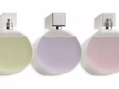 Luxury Perfume Bottle 3d Model 3D model