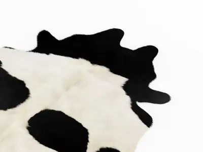 Brazilian Black And White Cowhide 3D model