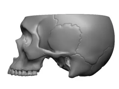 Skull box  Free 3D print model
