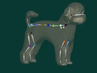 Bichon Frise Dog Breed 3D model