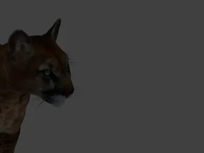 panther with full rig body and face ready game  3D model