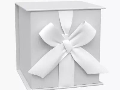 Hallmark Ribbon and Paper Fill Small Gift Lid White Box with Bow 3D model