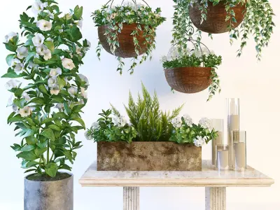 Hanging pot flowers 3D model