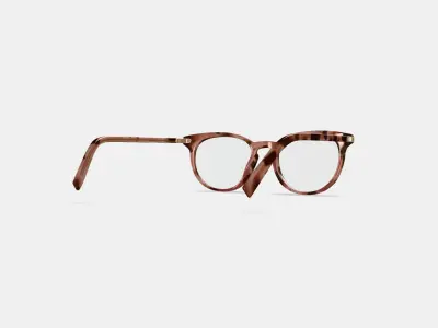 Sadie Eyeglasses in Sesame Tortoise with Polished Gold 3D model