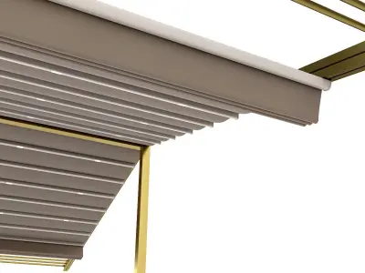 Motorized Pergola 3a brass satin polished 3D model