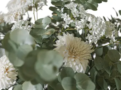 Flower Set 095 Eucalyptus dahlia 3D model