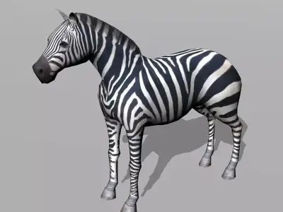 zebra Low-poly 3D model