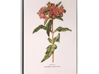 Plaster Two Photo Frame 463 Low-poly 3D model