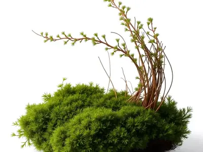 Lush Greenery Arrangement model pack Low-poly 3D model