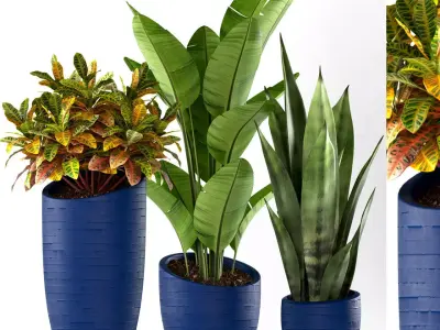 plants set 138 3D model