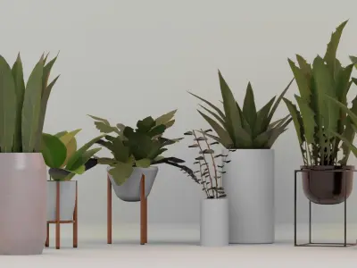 Plants For Decoration Low-poly 3D model