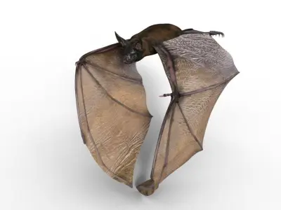 Bat Night 3D model