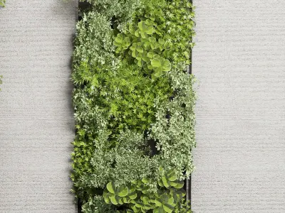 Vertical Wall Garden With Wooden frame  collection of houseplant 3D model