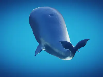 Whale laboon 3D model