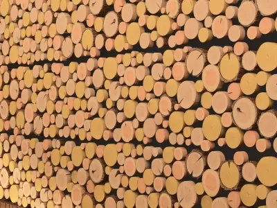 wooden beam log chuck panels  3D model