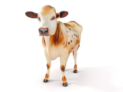 Realistic Cow Model Pack for Animation and Games Low-poly 3D model