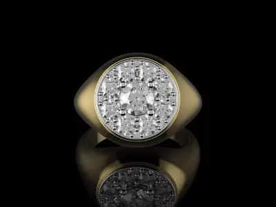 Gold N1524 3D print model