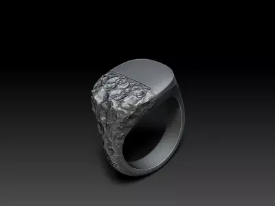 Signet Ring Sculptural Jewelry Design 3D print model