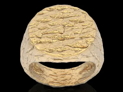 Rock ring   gold jewelry 3D printable model 3D print model